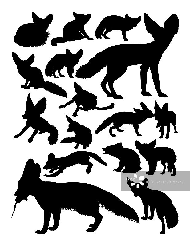 耳廓狐动物剪影图片素材