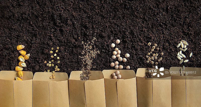 土壤上的袋装种子，选择性聚焦图片素材