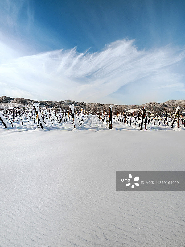 阿尔萨斯葡萄园和村庄的冬日雪景图片素材