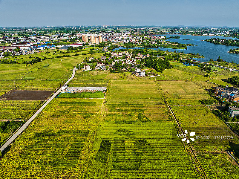 芜湖市南陵县奎湖湿地公园图片素材