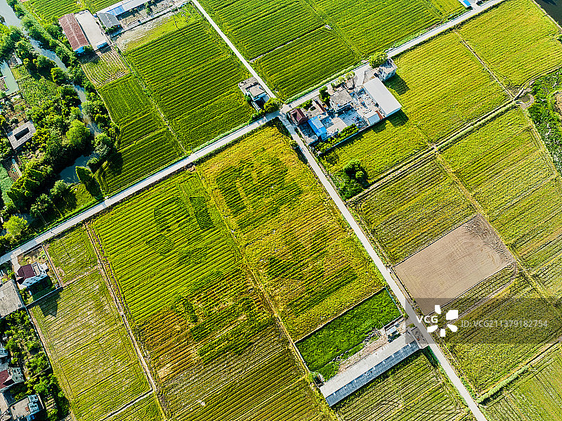 芜湖市南陵县奎湖湿地公园图片素材