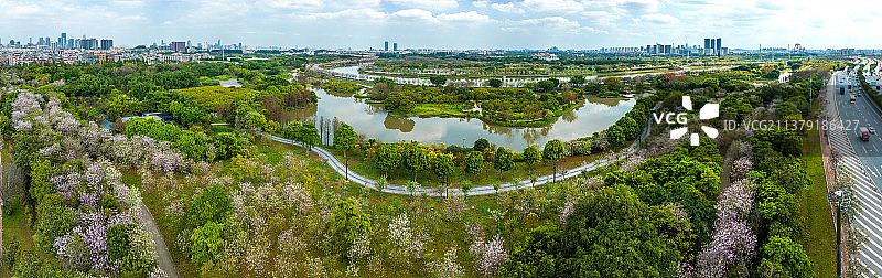 广州海珠国家湿地公园航拍图片素材