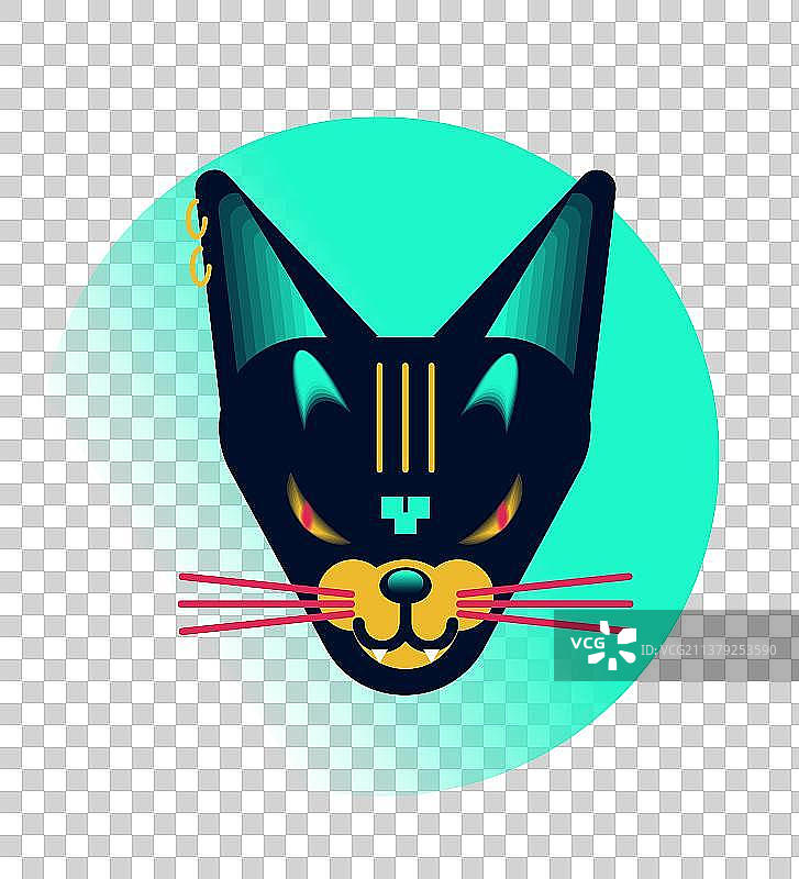 猫图片素材