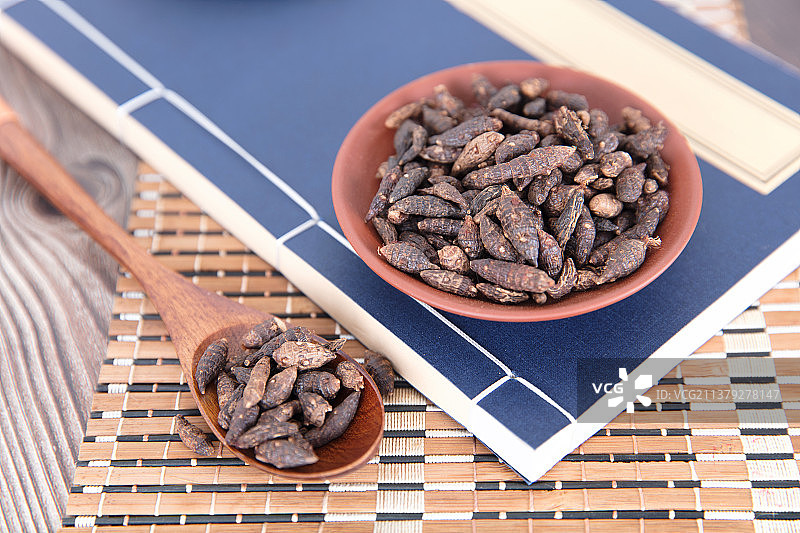 医书上满盘的中药香附子和木勺里的香附子图片素材