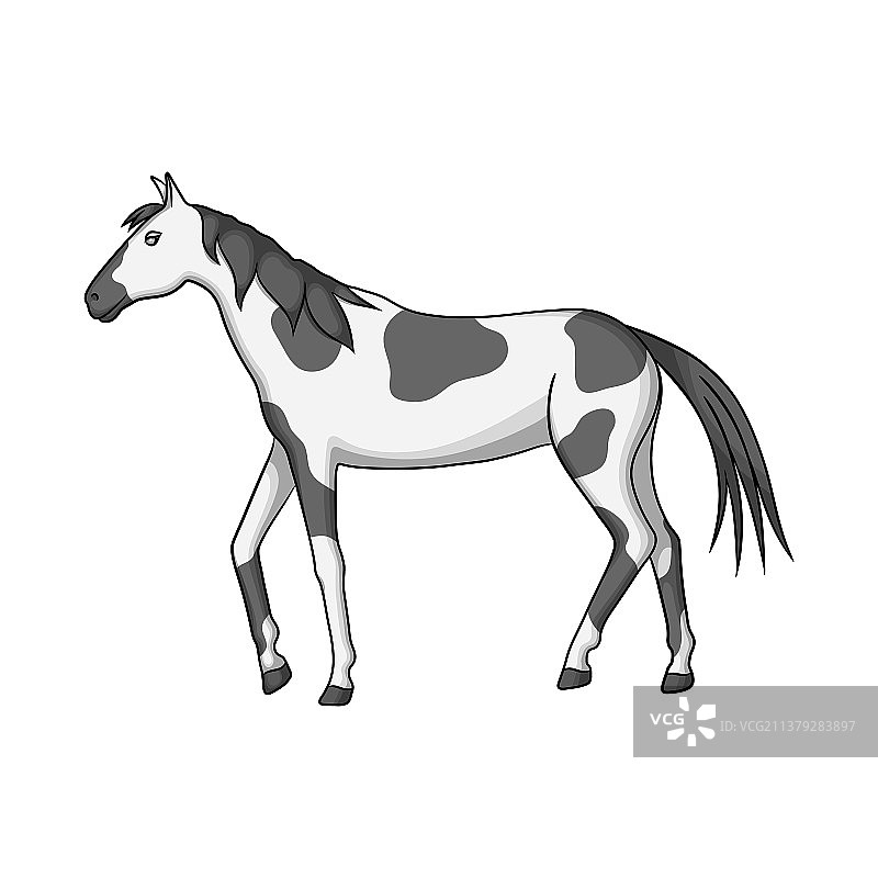 马和斑点符号集图片素材