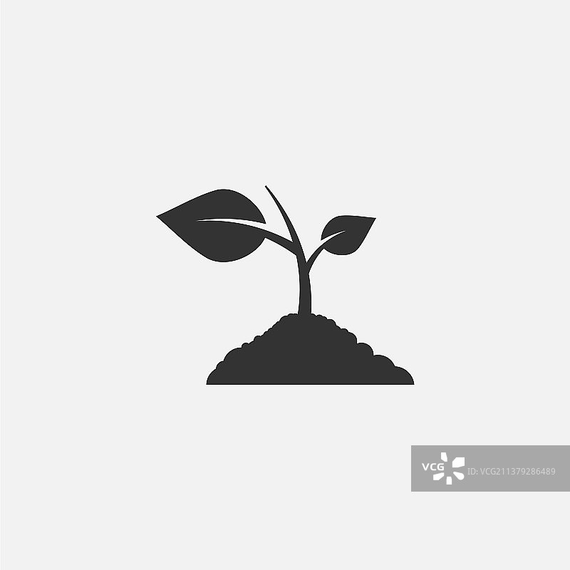 植物嫩芽图片素材