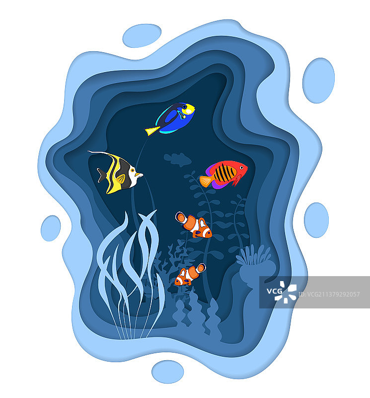 水下世界珊瑚礁鱼类设计图片素材