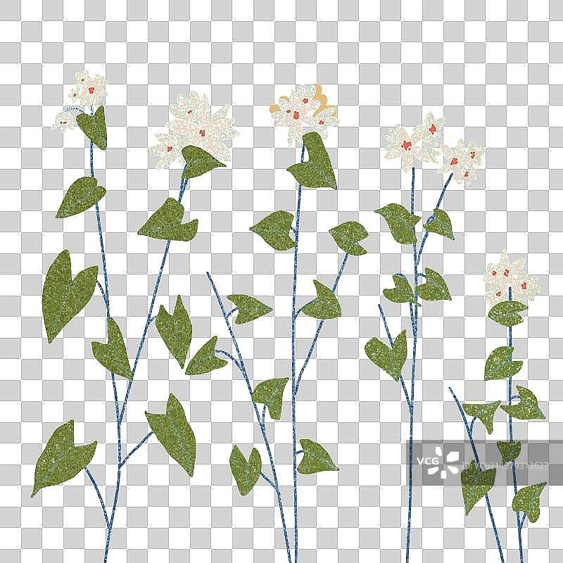 农作物图片素材