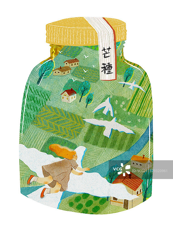 二十四节气插画系列-瓶子篇图片素材