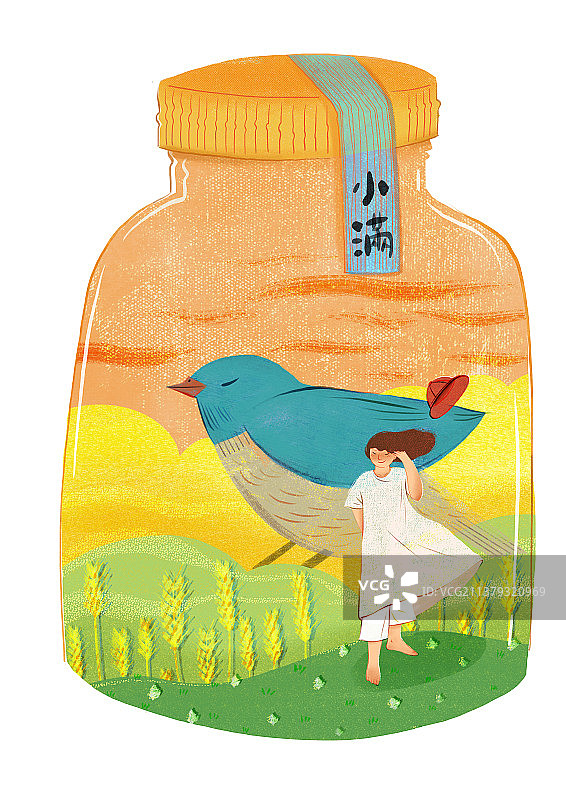 二十四节气插画系列-瓶子篇图片素材