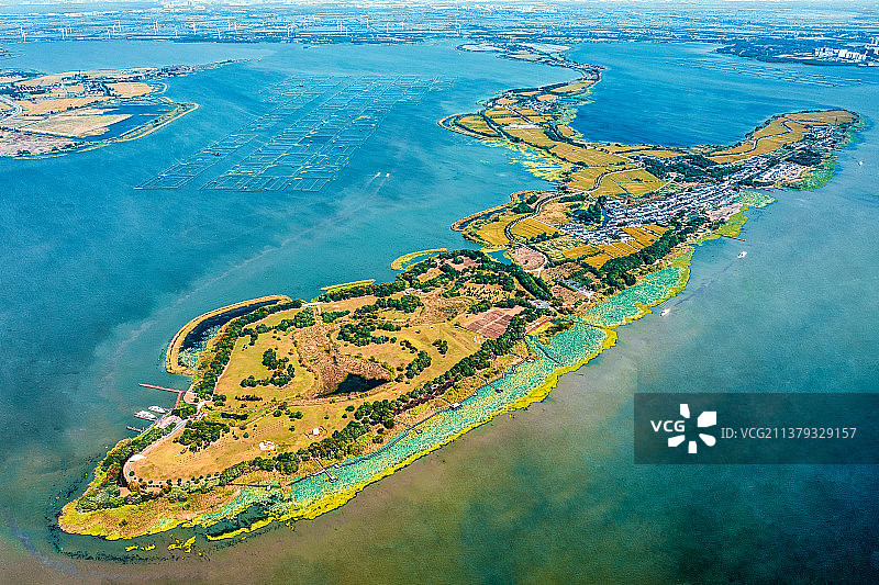 《美丽的莲花岛》图片素材