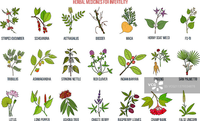 治疗不孕症的最佳草药图片素材