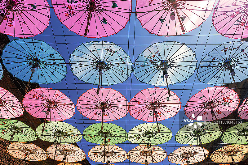 春天的青花街图片素材