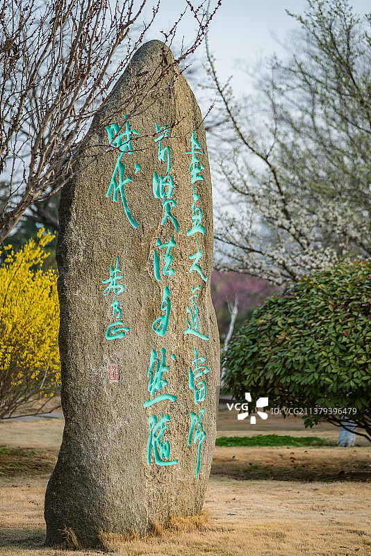春天户外刻在石碑石头上的书法文字图片素材