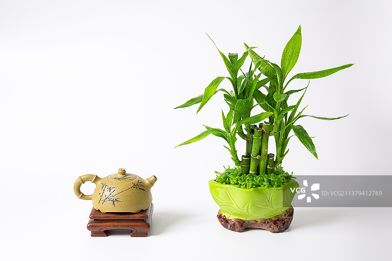 段泥紫砂壶和盆栽富贵竹图片素材