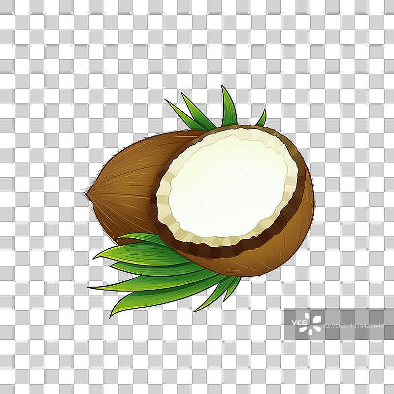 椰子图片素材