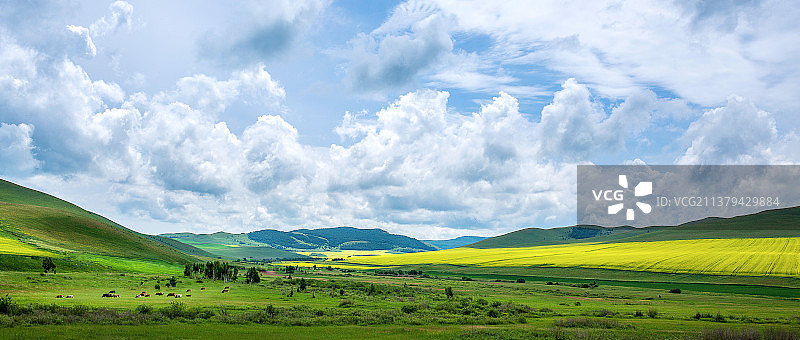 呼伦贝尔草原图片素材