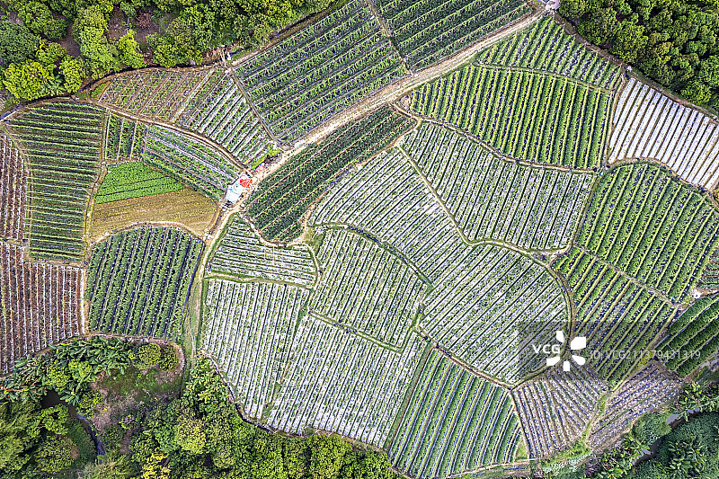 田野印象图片素材