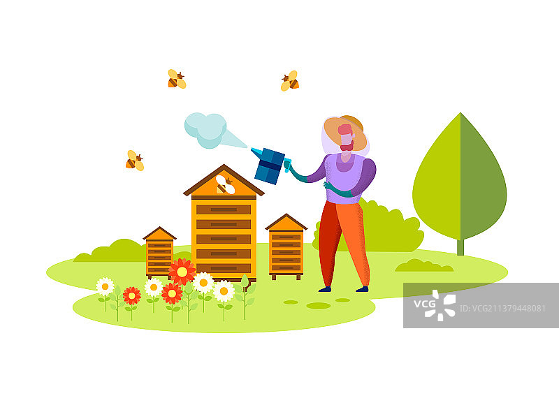 养蜂过程与蜂蜜生产图片素材