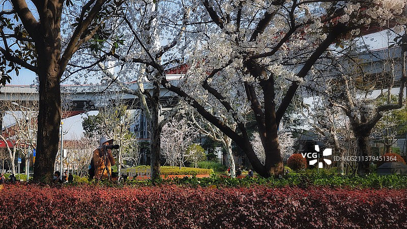 摄花者图片素材