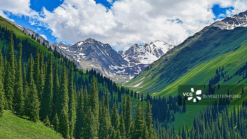 那拉提草原雪莲谷图片素材