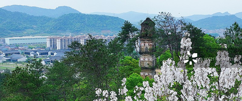 浙江诸暨全国重点文物保护单位枫桥东化成寺塔图片素材