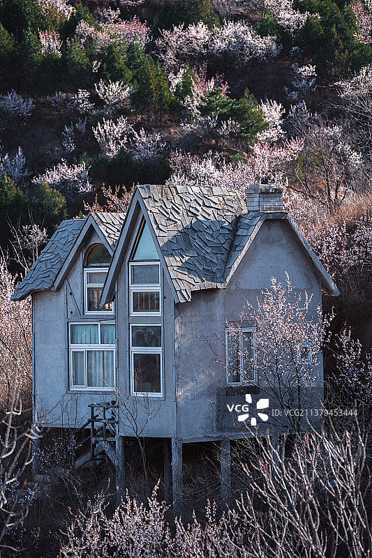 桃花小屋图片素材