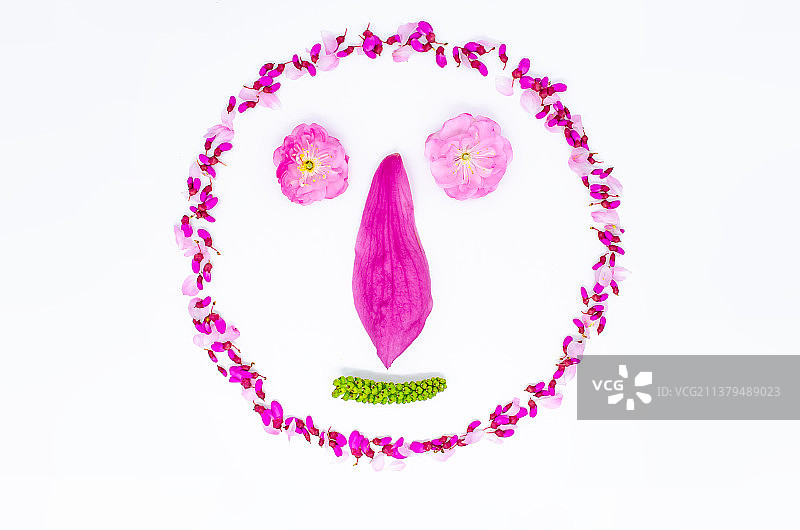中国野生植物影棚拍摄拍摄主题，用花瓣和树叶排列组合的人脸形状，室内无人图像摄影图片素材