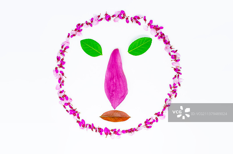 中国野生植物影棚拍摄拍摄主题，用花瓣和树叶排列组合的人脸形状，室内无人图像摄影图片素材