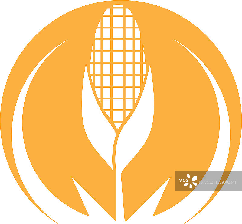 玉米图标标志图片素材