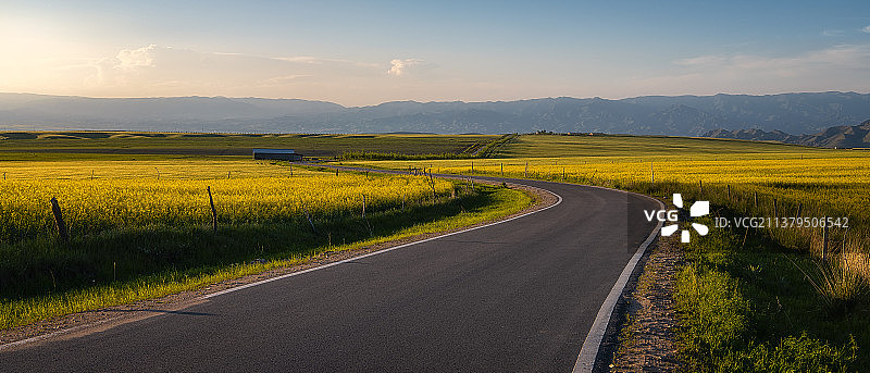 新疆麦田风光图片素材