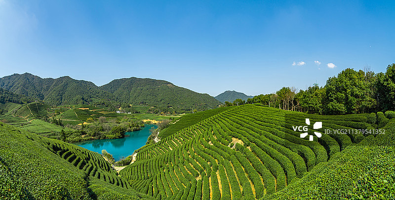龙坞茶村 光明寺水库 浙江杭州转塘龙坞村 龙井茶  茶园  乡村茶园风光图片素材