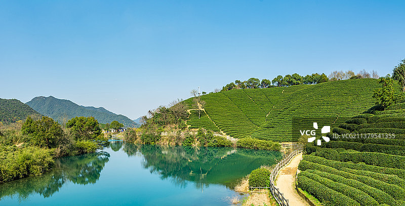 龙坞茶村 光明寺水库 浙江杭州转塘龙坞村 龙井茶  茶园  乡村茶园风光图片素材