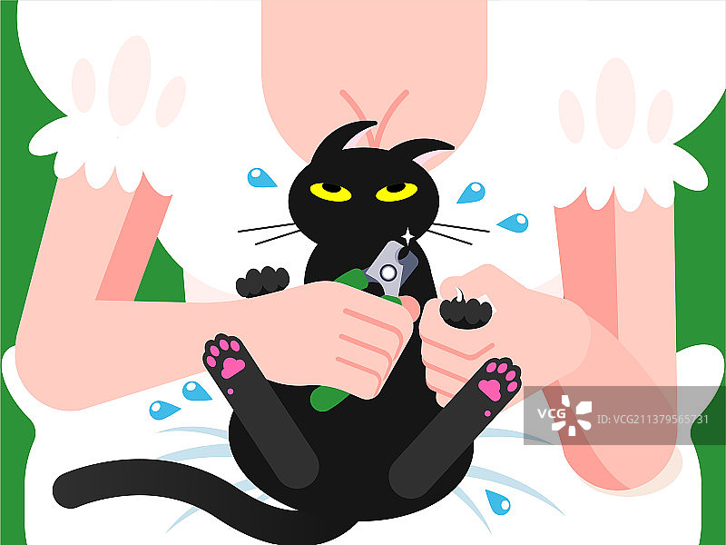 猫咪剪指甲图片素材