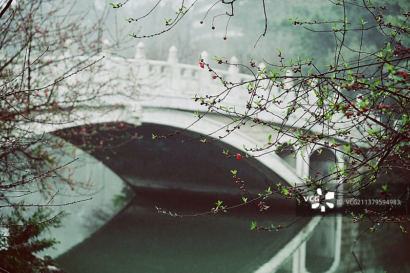 桂林榕湖的桥图片素材