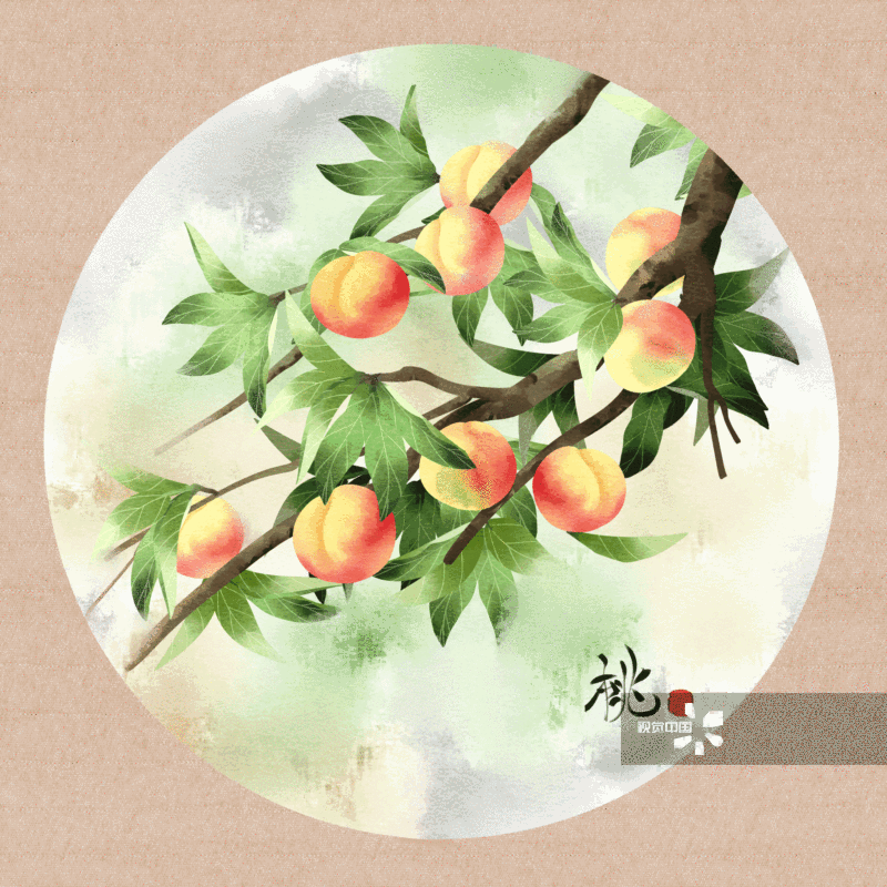中国风水彩植物水果桃子插画-GIF动图图片素材