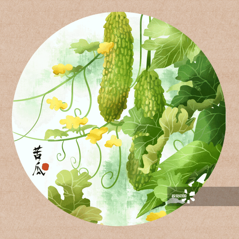 中国风水彩植物蔬菜苦瓜插画-GIF动图图片素材