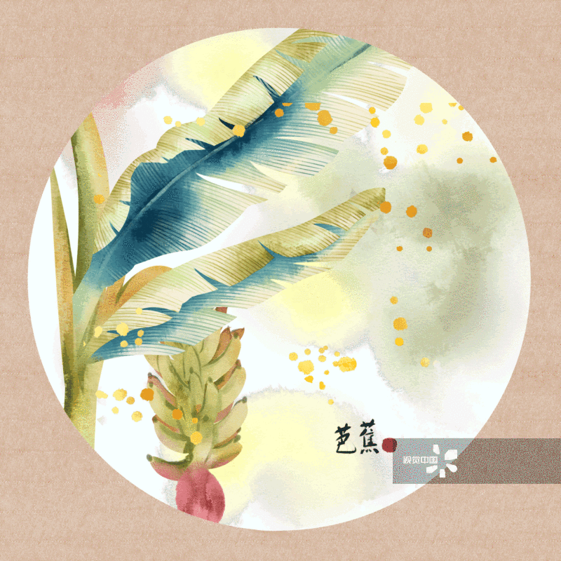 中国风水彩植物芭蕉树插画-GIF动图图片素材
