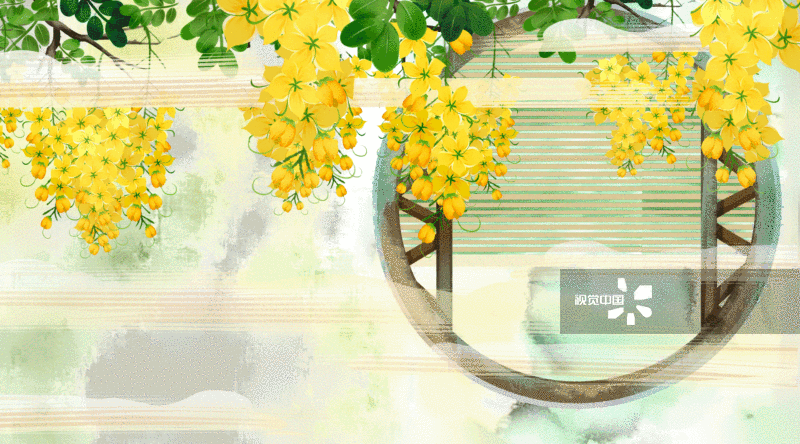 中国风外墙决明子花插画背景-GIF动图图片素材