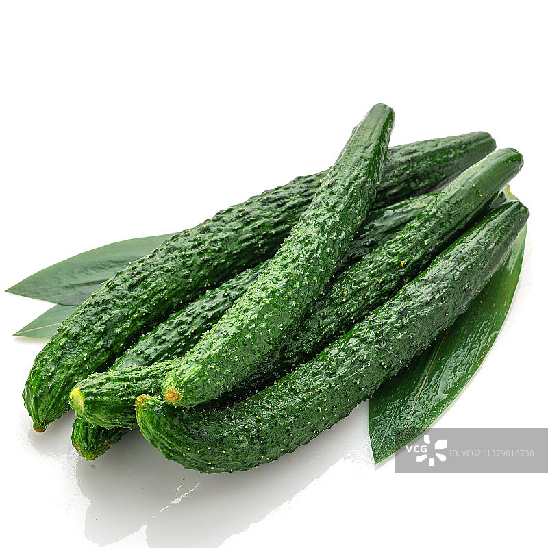 白色背景上的新鲜黄瓜（青瓜）图片素材