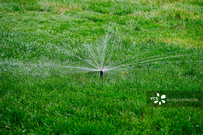 绿草坪浇水图片素材