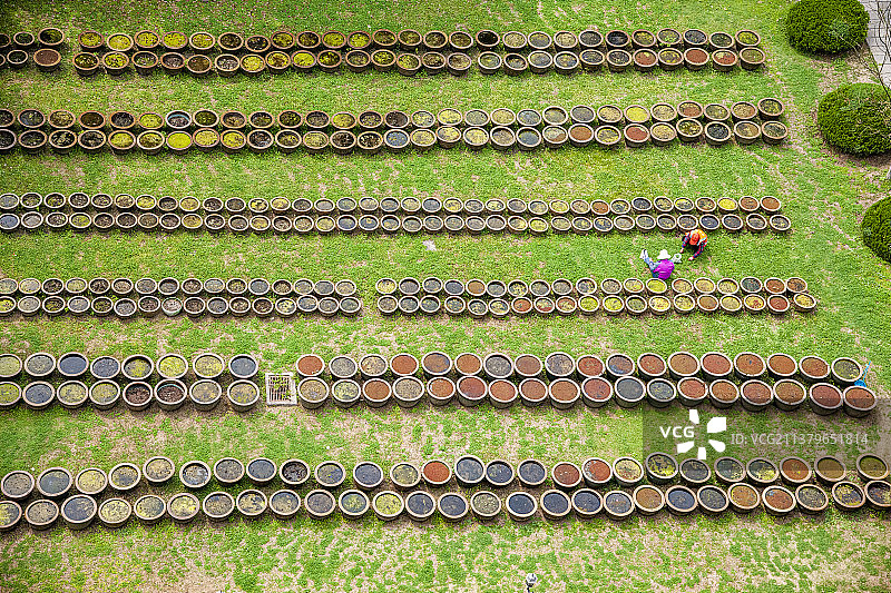 安徽合肥市包公园园林图片素材