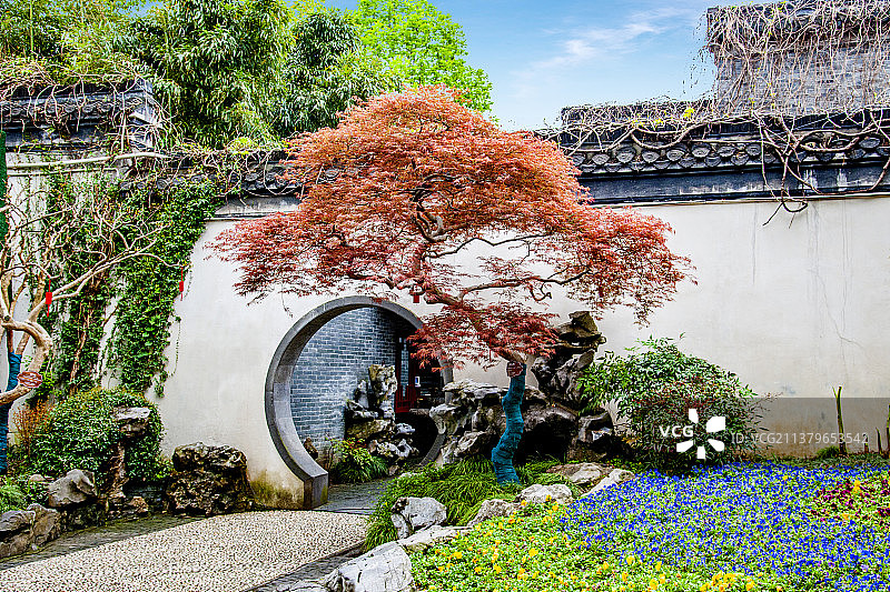 江苏省扬州市个园园林建筑图片素材