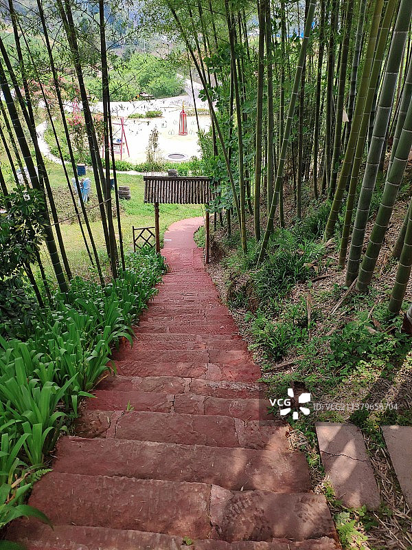 竹林石阶图片素材