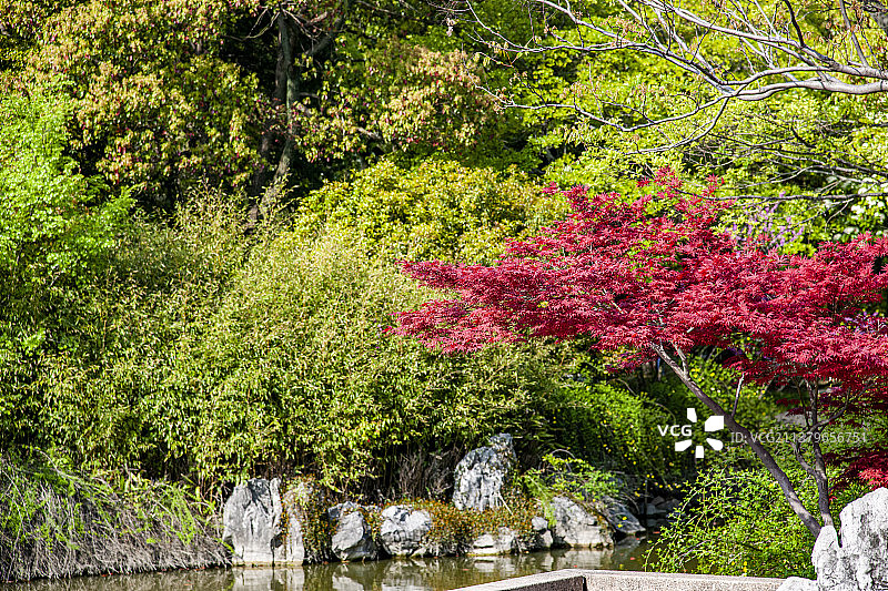 江苏苏州太仓弇山园园林图片素材