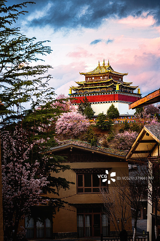 独克宗之春图片素材