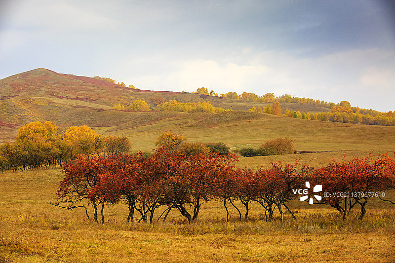 坝上草原秋色图片素材