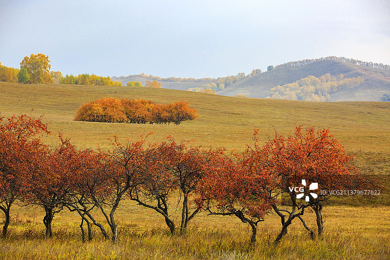 坝上草原秋色图片素材