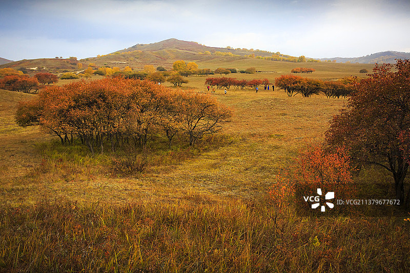 坝上草原秋色图片素材