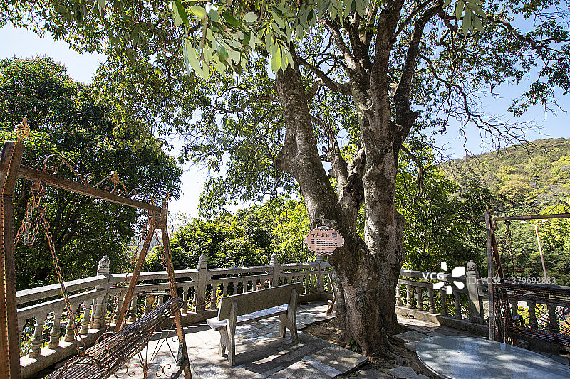闽南著名的千年古刹泉州南安灵应寺图片素材